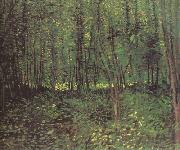 Vincent Van Gogh Trees and Undergroth (nn04) Spain oil painting artist